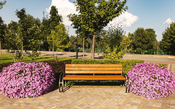 Paisaje de un parque de verano con un banco y flores de petunia rosa alrededor sobre un fondo de árboles y caminos - Foto, Imagen
