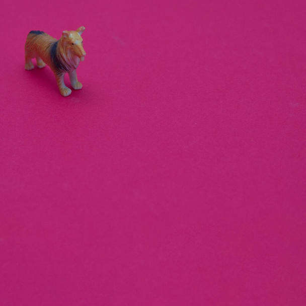 Ένας σκύλος στην πάνω αριστερή γωνία σε κόκκινο φόντο. Ελάχιστη σκηνή αγάπης κατοικίδιων ζώων. - Φωτογραφία, εικόνα