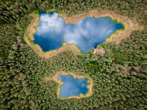 Uitzicht vanuit de lucht op het prachtige wilde bosmeer - Foto, afbeelding