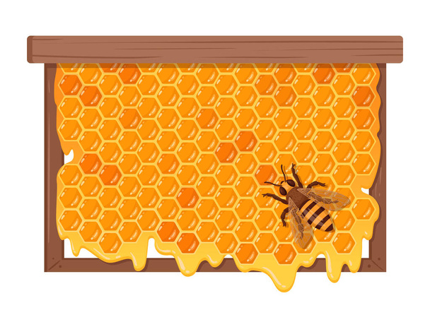 Бджола з медовим сміттям. Мультяшна сумка з солодким медом, медом та концепцією бджільництва. Медова бджола сидить на сітчастій плоскій векторній ілюстрації - Вектор, зображення