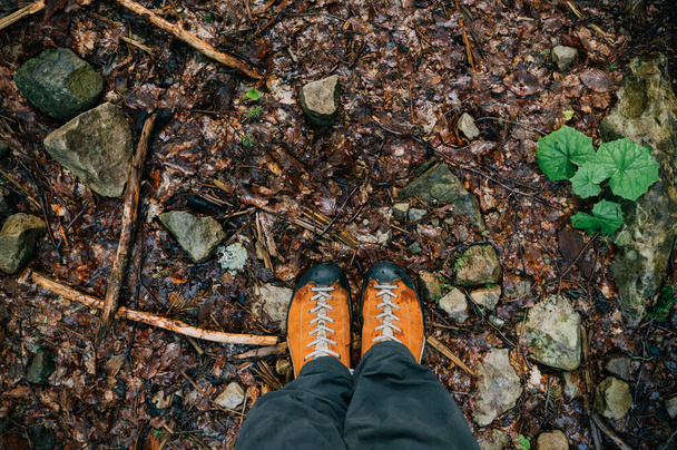 прогулки в лесу, вид на ноги в треккинговой обуви, осень, психическое здоровье - Фото, изображение