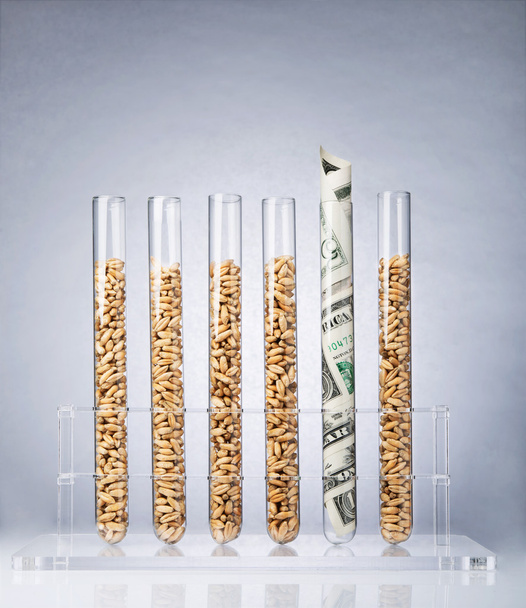 Genetically modified seeds costs - Photo, Image