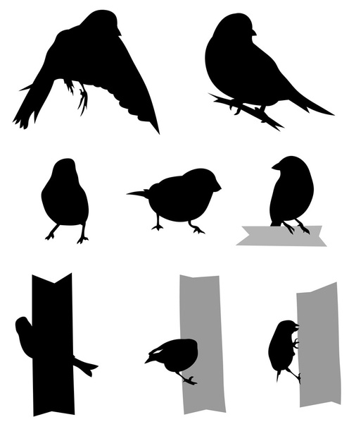 Birds Silhouette - Vector, Image
