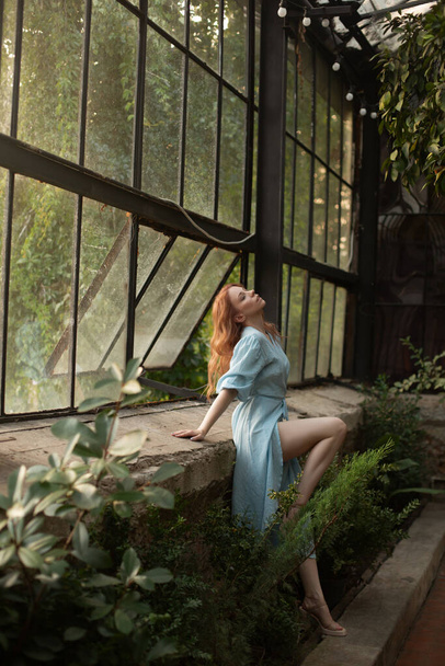 Молодая женщина в синем платье позирует в тропическом ботаническом саду с зеленью на заднем плане - Фото, изображение