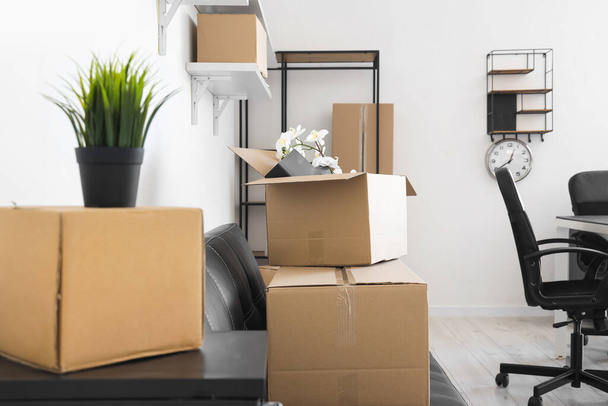 Kartondobozok szobanövényekkel és személyes tárgyakkal az irodában a költözés napján - Fotó, kép