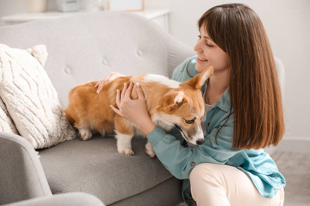 Csinos fiatal nő aranyos Corgi kutya szürke kanapén a nappaliban - Fotó, kép