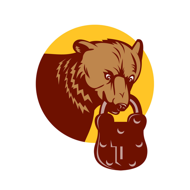 Grizzly  bear  with padlock - Vector, Image