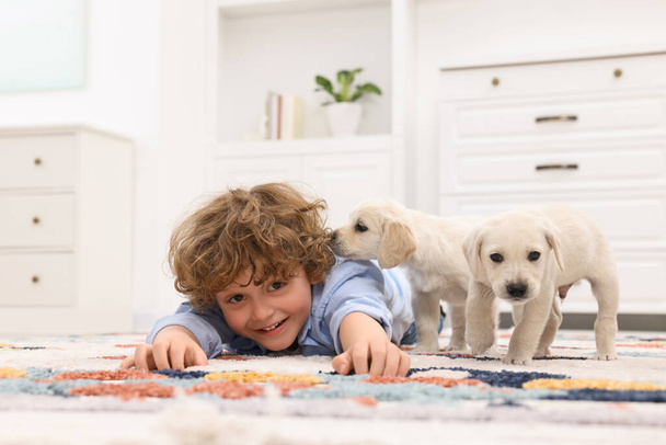 Little boy with cute puppies on carpet at home - Фото, зображення
