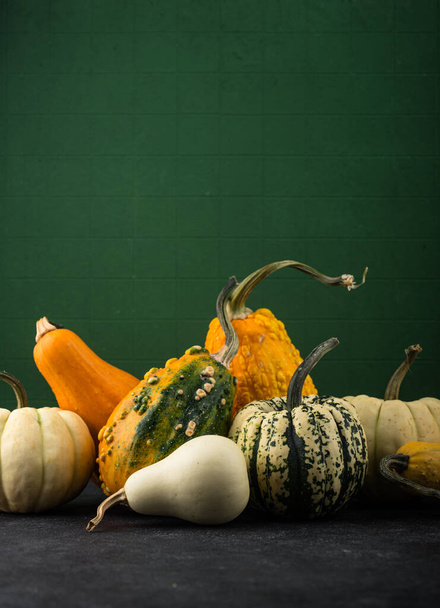 Decorative pumpkin on green background. Autumn concept - Photo, Image