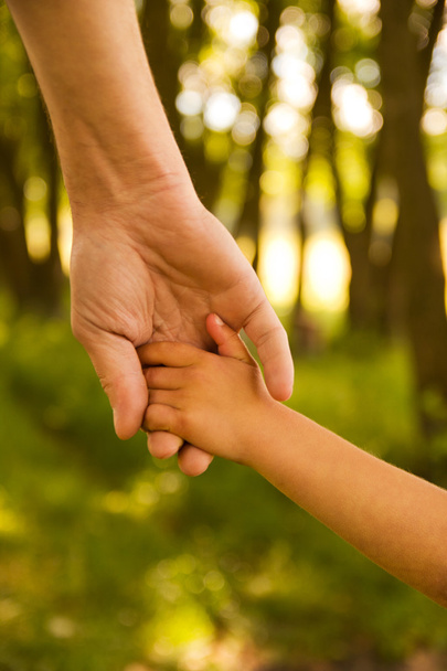Parent holds hand of child - Valokuva, kuva