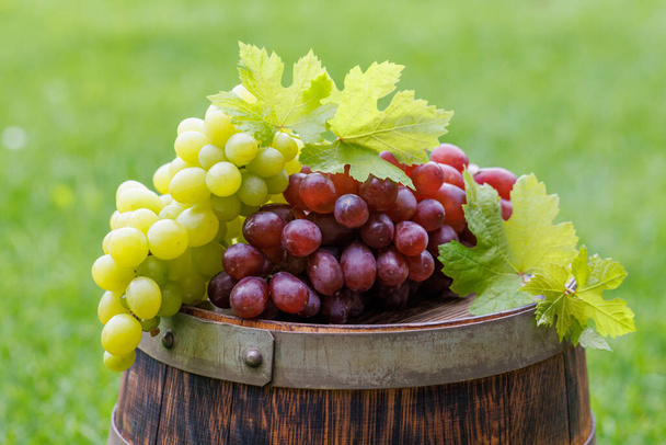 Druiven op wijnvat buiten - Foto, afbeelding