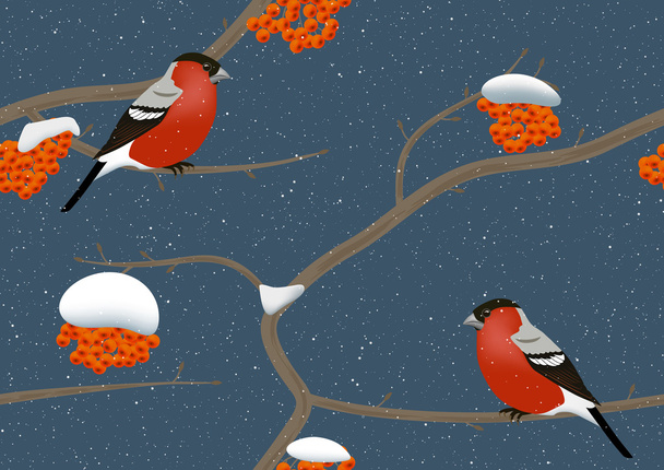 Bullfinches in winter - Vector, Image