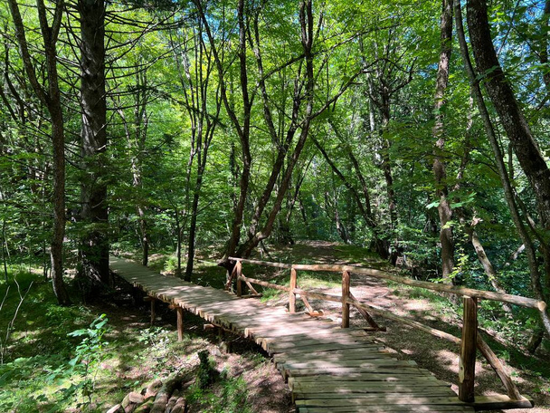 Дерев'яні стежки і доріжки вздовж озер і через ліс в національному парку озер Плітвіце - Плітвіца, Хорватія) - Фото, зображення