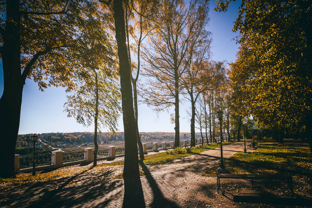 Levél hullik a városi parkban, arany ősszel. Tájkép juharfákkal és más fákkal egy napsütéses napon. Szüreti film esztétikai. - Fotó, kép