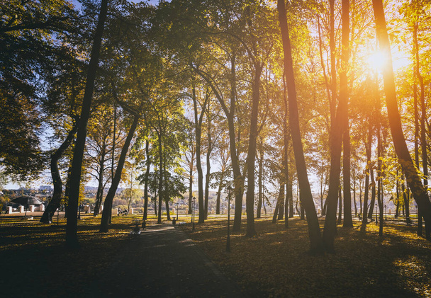 Φύλλα πέφτουν στο πάρκο της πόλης το χρυσό φθινόπωρο. Τοπίο με σφένδαμο και άλλα δέντρα σε μια ηλιόλουστη μέρα. Vintage αισθητική ταινία. - Φωτογραφία, εικόνα