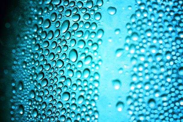 Macro water drops - Zdjęcie, obraz