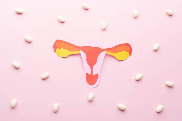 Uterus and vagina anatomy made from paper with white pills on pink background. Treatment of vaginal infections from candidiasis, sexually transmitted infections. Gynecology concept. - Foto, afbeelding