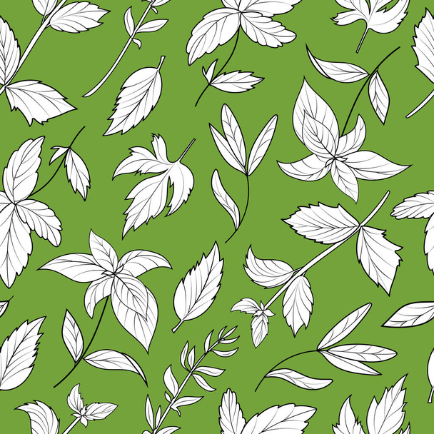 Modèle sans couture vectoriel dessiné à la main avec des herbes de Provence, basilic, origan dans la conception de contour - Vecteur, image