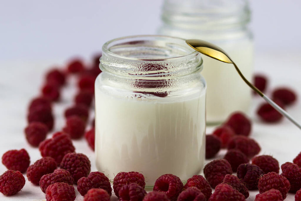 Vista lateral del yogur saludable del apetito. Yogur casero con frambuesas - Foto, Imagen