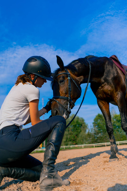 Una cavallerizza in casco abbraccia e graffia il suo bellissimo cavallo nero con la mano nell'arena equestre durante una cavalcata - Foto, immagini
