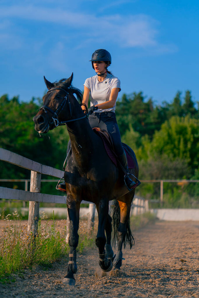 Una donna a cavallo vestita con un casco cavalca il suo bellissimo cavallo nero in un maneggio durante una passeggiata a cavallo - Foto, immagini