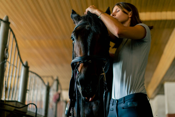 Ratsastaja laittaa valjaat hänen musta hevonen tallissa valmisteltaessa rodun equestrian käsite - Valokuva, kuva