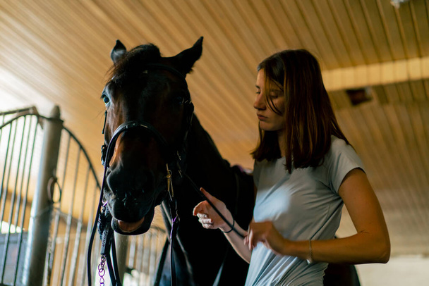 A rider puts harness on her black horse in the stables in preparation for race equestrian concept - Photo, Image