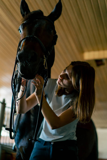 Um cavaleiro coloca arnês em seu cavalo preto nos estábulos em preparação para o conceito de corrida equestre - Foto, Imagem