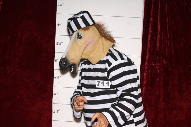 Um cavalo usa um uniforme listrado da prisão na frente de um quadro Mugshot polícia aka fotografia reserva. - Foto, Imagem