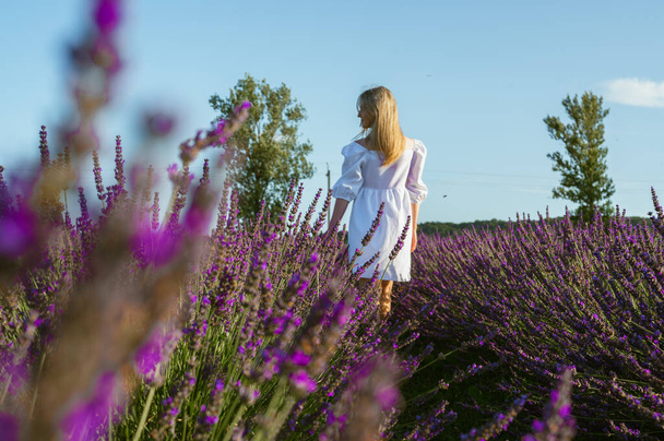 Πεδία λεβάντας κοντά στο Lviv, Ουκρανία. Ανθισμένη λεβάντα το καλοκαίρι. Ένα κορίτσι με λευκό καλοκαιρινό φόρεμα περπατά σε λιβάδια λεβάντας, βλέπει από πίσω και αγγίζει λουλούδια λεβάντας με το χέρι της. Επιλεκτική εστίαση - Φωτογραφία, εικόνα