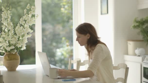 Woman using laptop - Felvétel, videó