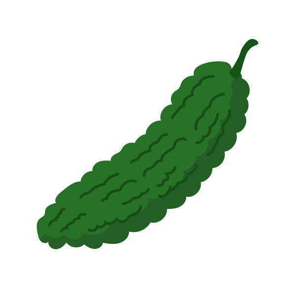 Гіркий гарбуз або паре овоч, перя або парія овоч, плоский дизайн ілюстрація - Вектор, зображення