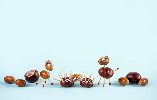 Animals made of acorns and horse chestnuts with toothpicks and lighting matches for legs. Blue studio background with lot of copy space. Lower edge bottom border. - Photo, Image