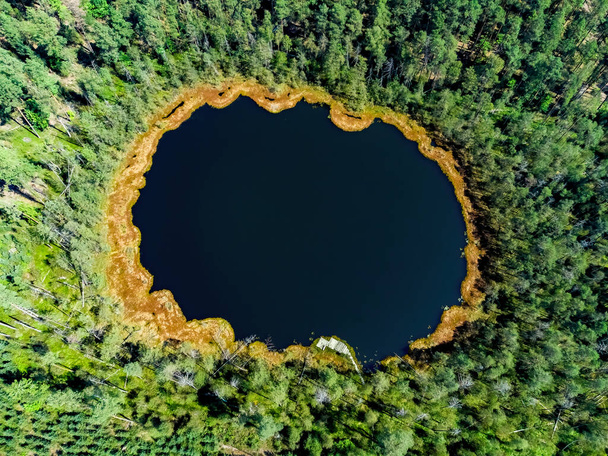 Aerial view of a lake in the forests of Lithuania, wild nature. The name of the lake is "Eserinis (Asarelis)", Varena district, Europe. - Φωτογραφία, εικόνα