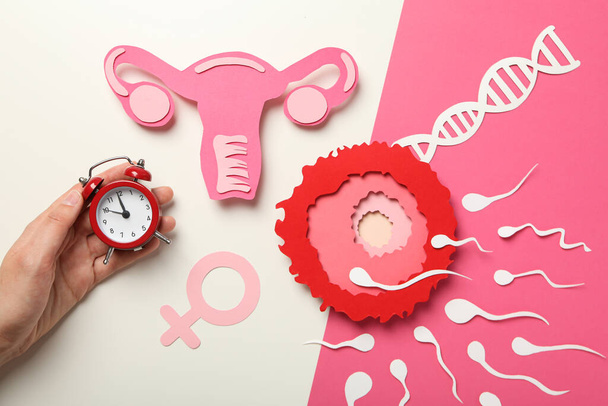Έννοια της γονιμοποίησης, περίοδος της ωορρηξίας, ωάριο. - Φωτογραφία, εικόνα