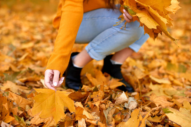 közelkép lány kezét gyűjti elesett juhar levelek őszi parkban hangulat levelek csokor - Fotó, kép