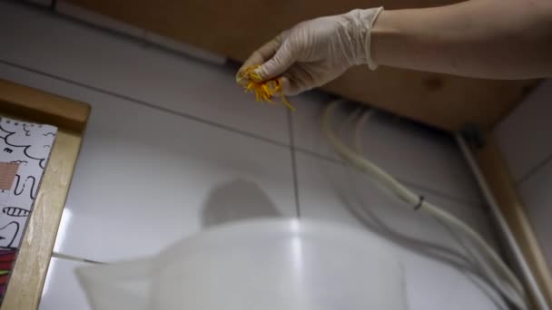 Pracownik w fabryce żywności posypywanie skórką pomarańczy do wiadra mieszającego do przygotowania lodów. Ręcznie robione lody. Widok dolny. - Materiał filmowy, wideo