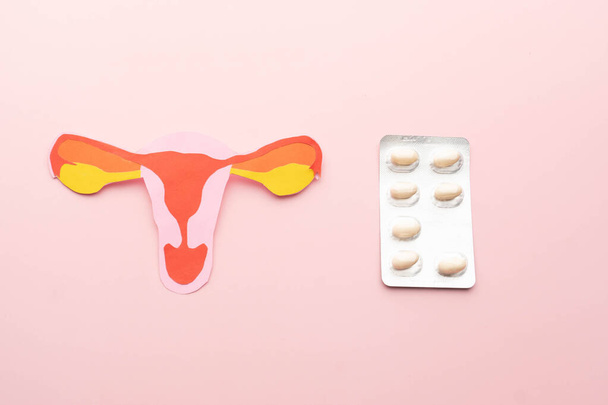 Uterus and vagina anatomy with white pills package on pink background. Treatment of vaginal infections from candidiasis, sexually transmitted infections. Gynecology concept. - 写真・画像