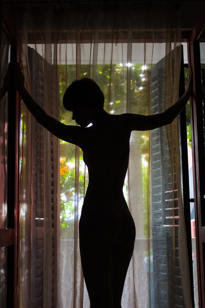 Outlines of a beautiful woman standing by door - Fotó, kép