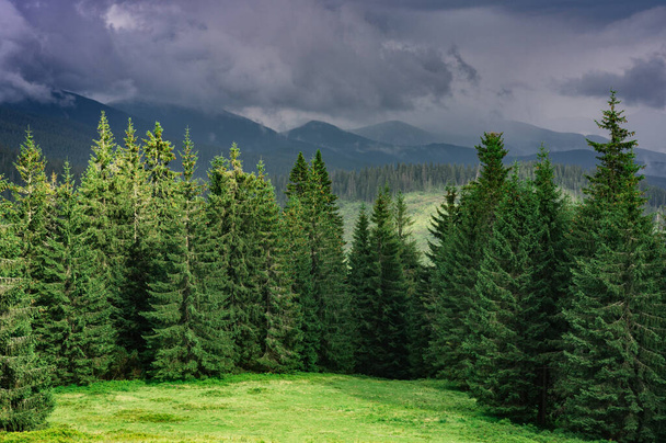 Пейзаж с пастухами и огненными деревьями, горный хребет, горы и облака  - Фото, изображение