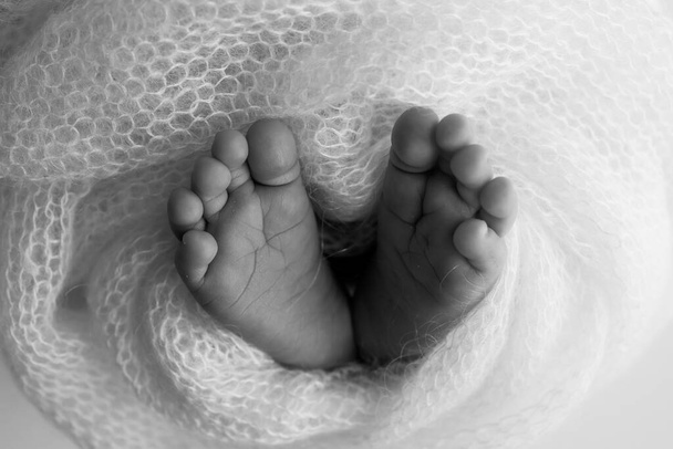 El pequeño pie de un bebé recién nacido. Los pies suaves de un recién nacido en una manta de lana. Primer plano de los dedos de los pies, tacones y pies de un recién nacido. Fotografía macro. Blanco y negro  - Foto, imagen