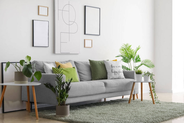 Interieur des Wohnzimmers mit gemütlichem Sofa, Gemälden und Zimmerpflanzen - Foto, Bild