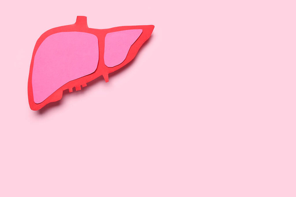 Paper liver on pink background - Photo, Image