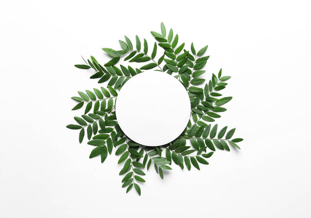 Zielone liście akacji z okrągłą pustą kartą na białym tle - Zdjęcie, obraz