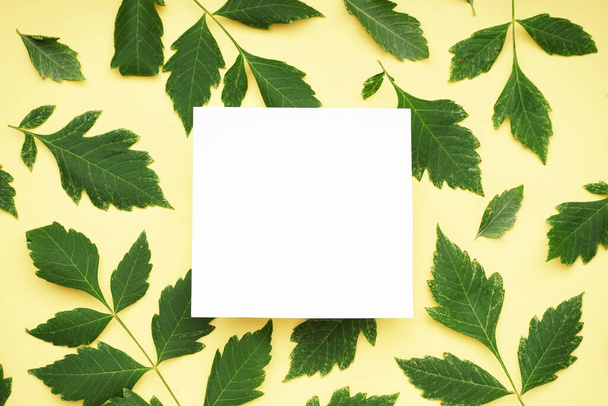 Blanco kaart met groene bladeren op gele achtergrond - Foto, afbeelding