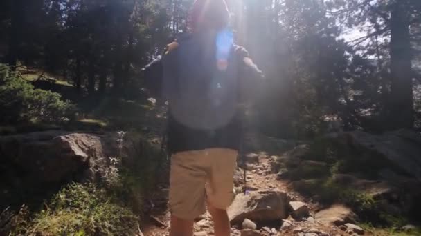 7-letý chlapec procházky v národním parku během léta - Záběry, video