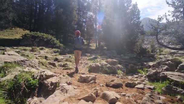 7歳の少年が夏に国立公園を散歩する - 映像、動画