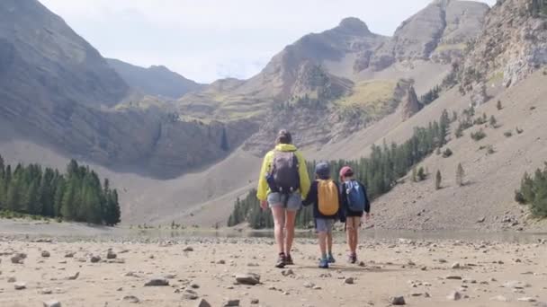 Jonge actieve moeder met haar zoontjes wandelen in de bergen  - Video