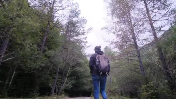 Dámská klidná cesta k vodopádům v Zelené lesní říši divů. Připojte se k ženské klidné cestě kouzelným lesem, doprovázené uklidňujícími zvuky kaskádových vodopádů - Záběry, video