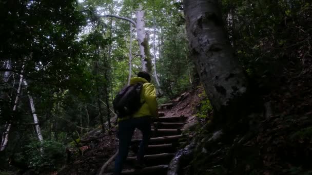 Vrouw wandelt door de bergen, omarmt de vrijheid van het buitenleven - Video